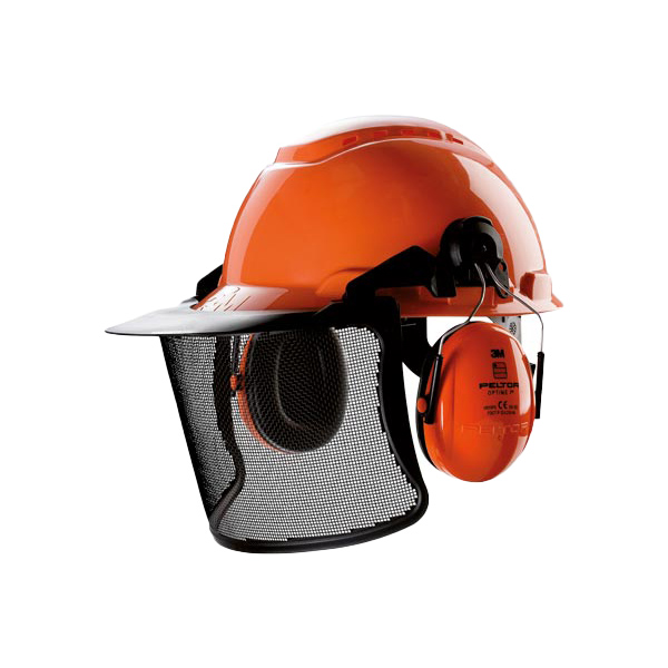 dombhp_oferta_ochrona_glowy_1